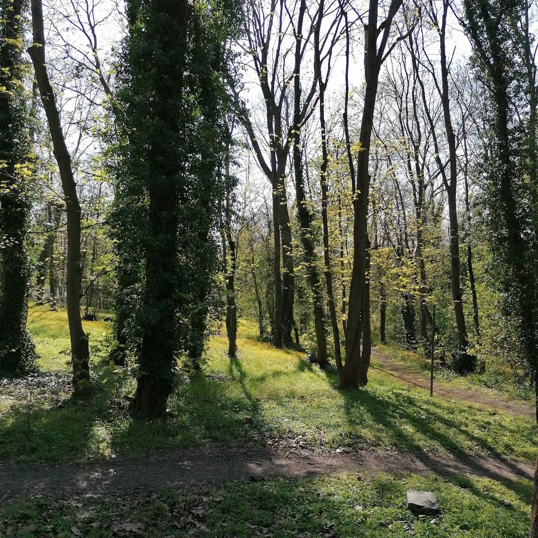 Parc Bellevue 2