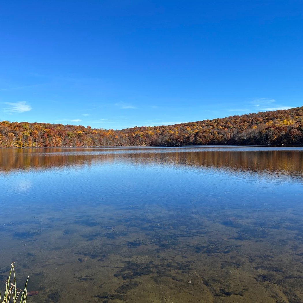 Ringwood State Park 1