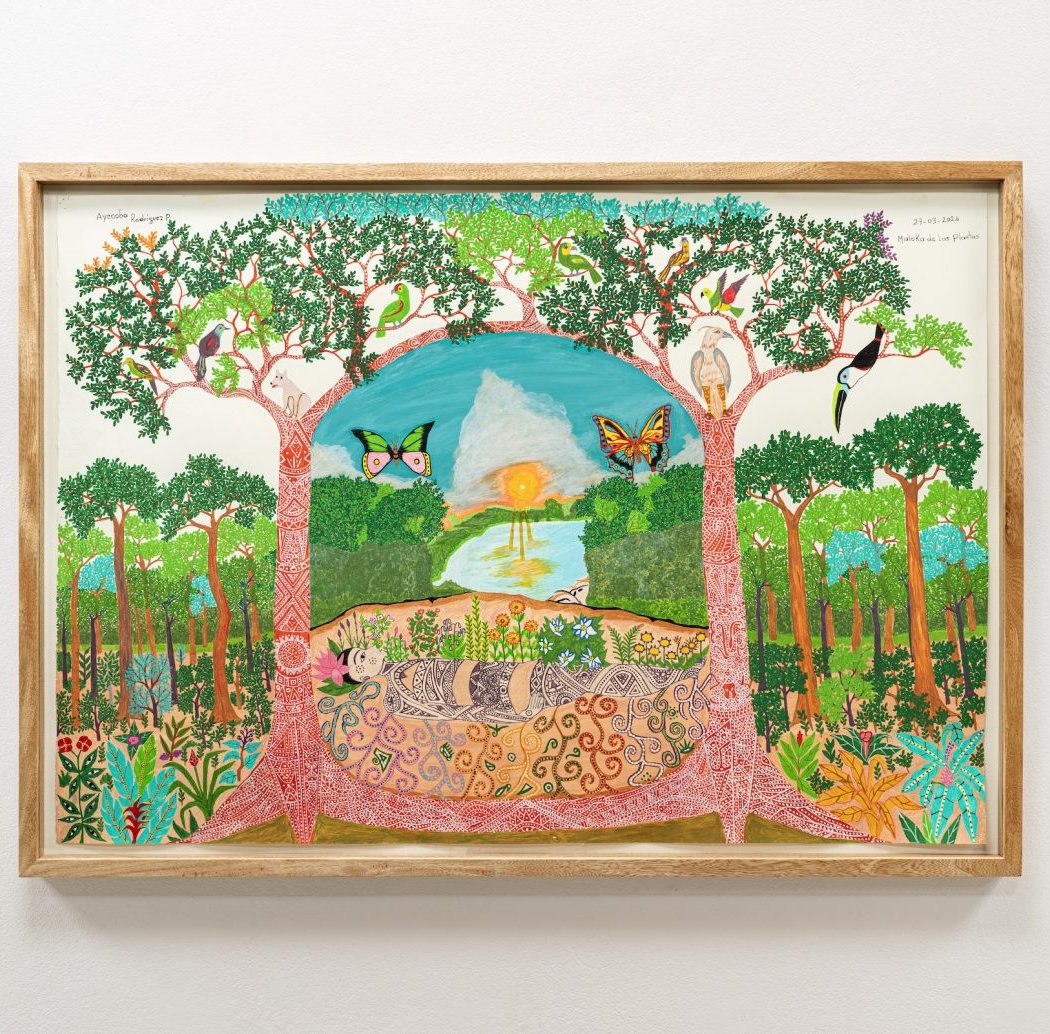Pluralistic Image of the Amazon Rainforest Exhibition 1