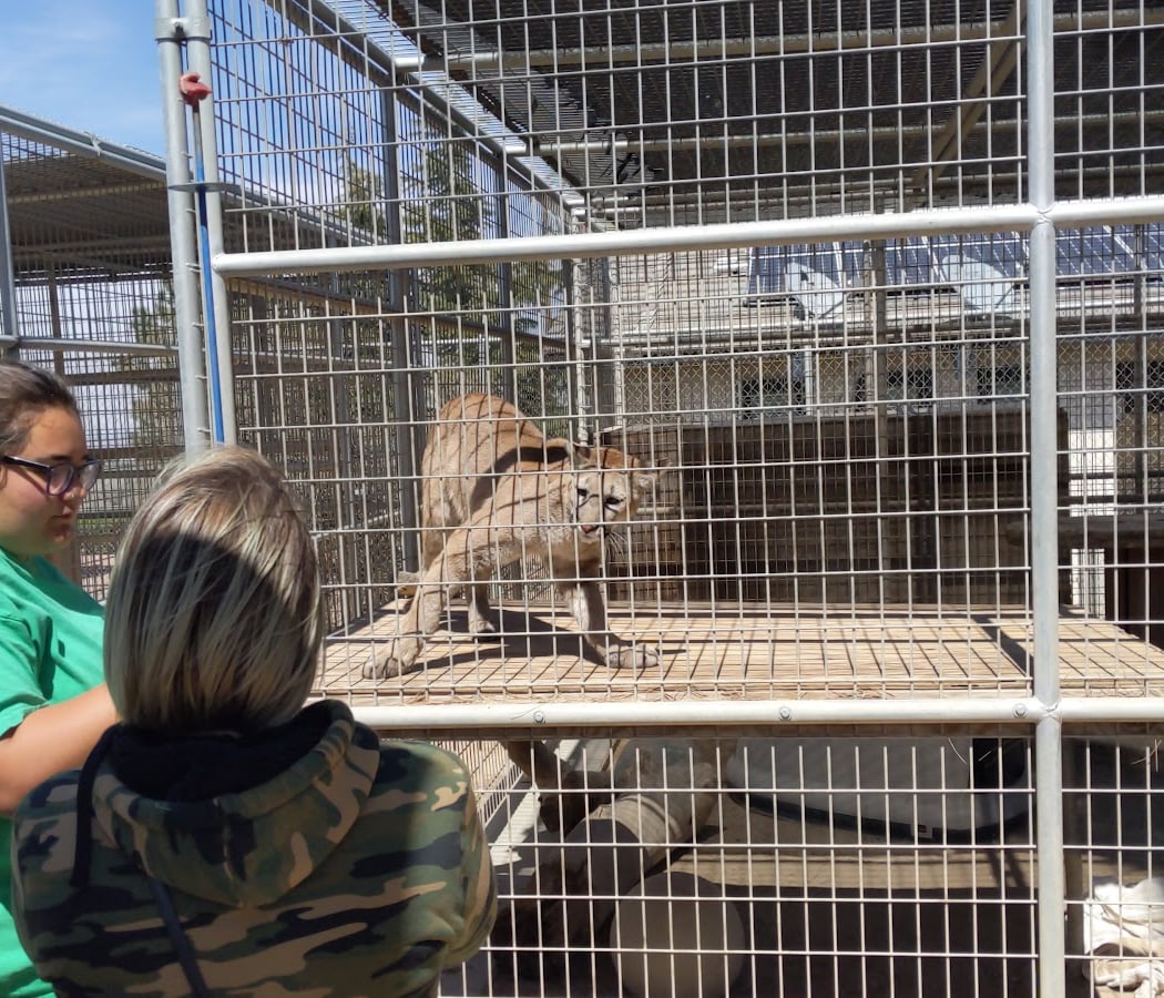 Forever Wild Exotic Animal Sanctuary 2