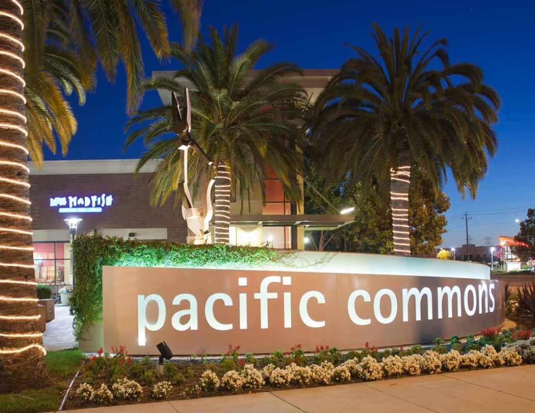 Pacific Commons Shopping Center 1