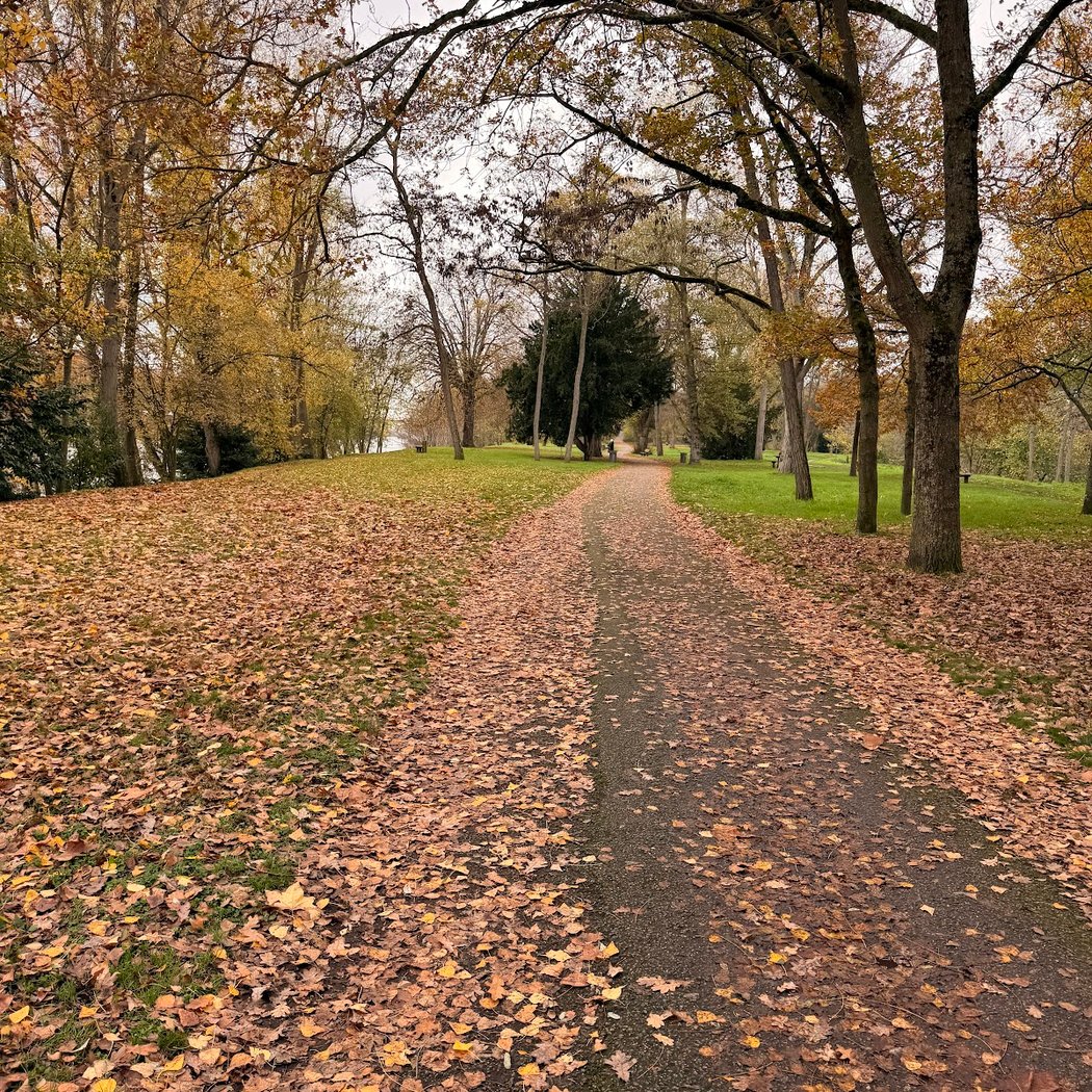 Parc municipal de l'île Simon 1