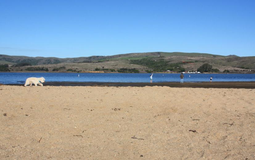 Chicken Ranch Beach 4
