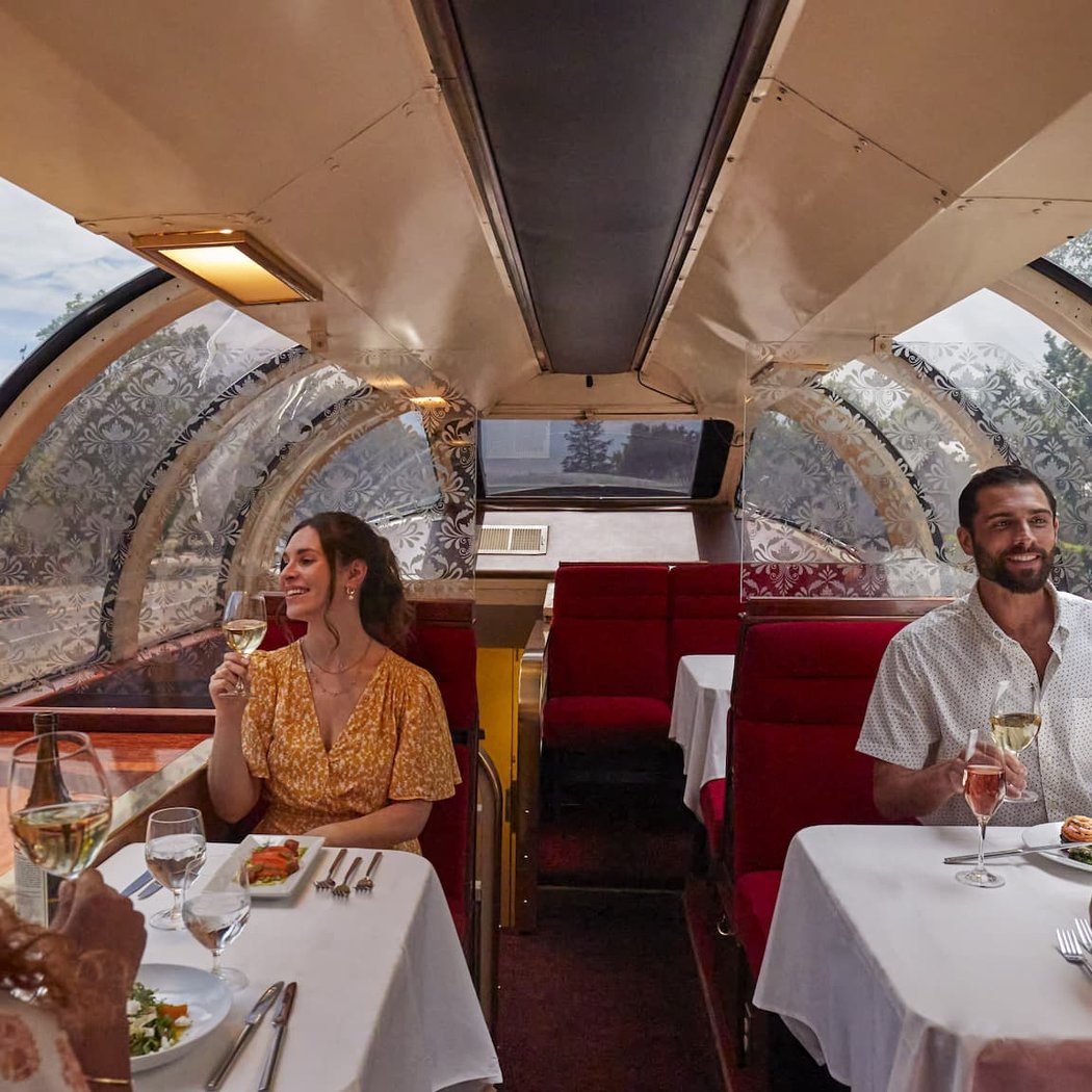 Napa Valley Wine Train Thanksgiving 1