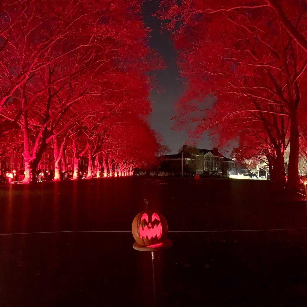 Rise of the Jack O’ Lanterns 2