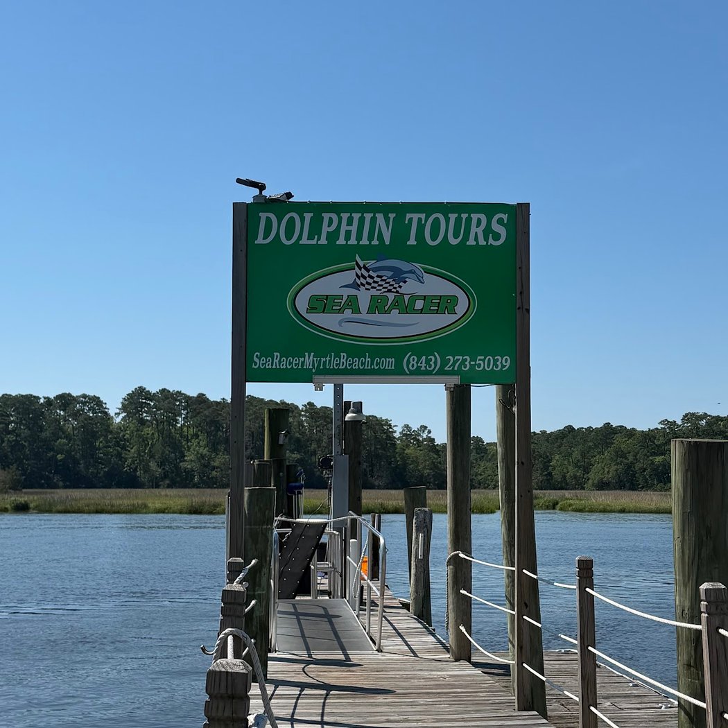 Sea Racer Dolphin Tours 2