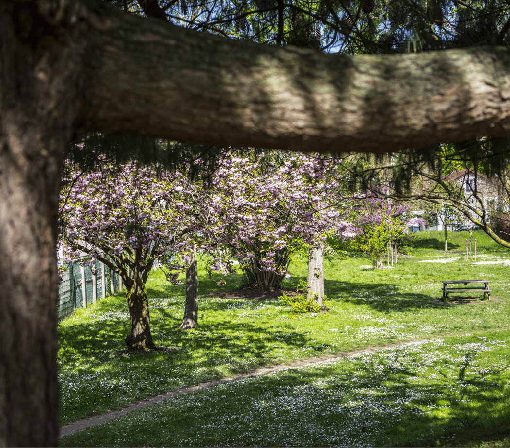 Parc / Ferme des gondoles 2