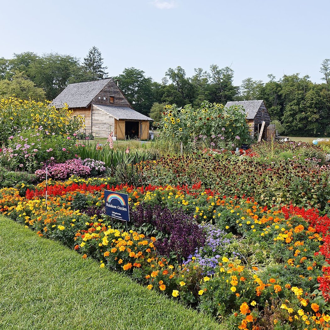 King's Garden 3