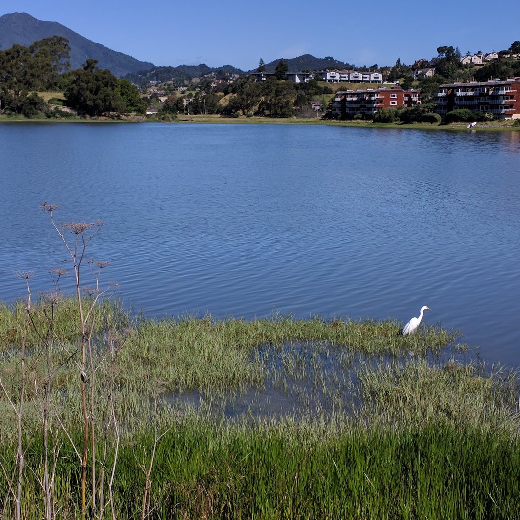 Richardson Bay 4
