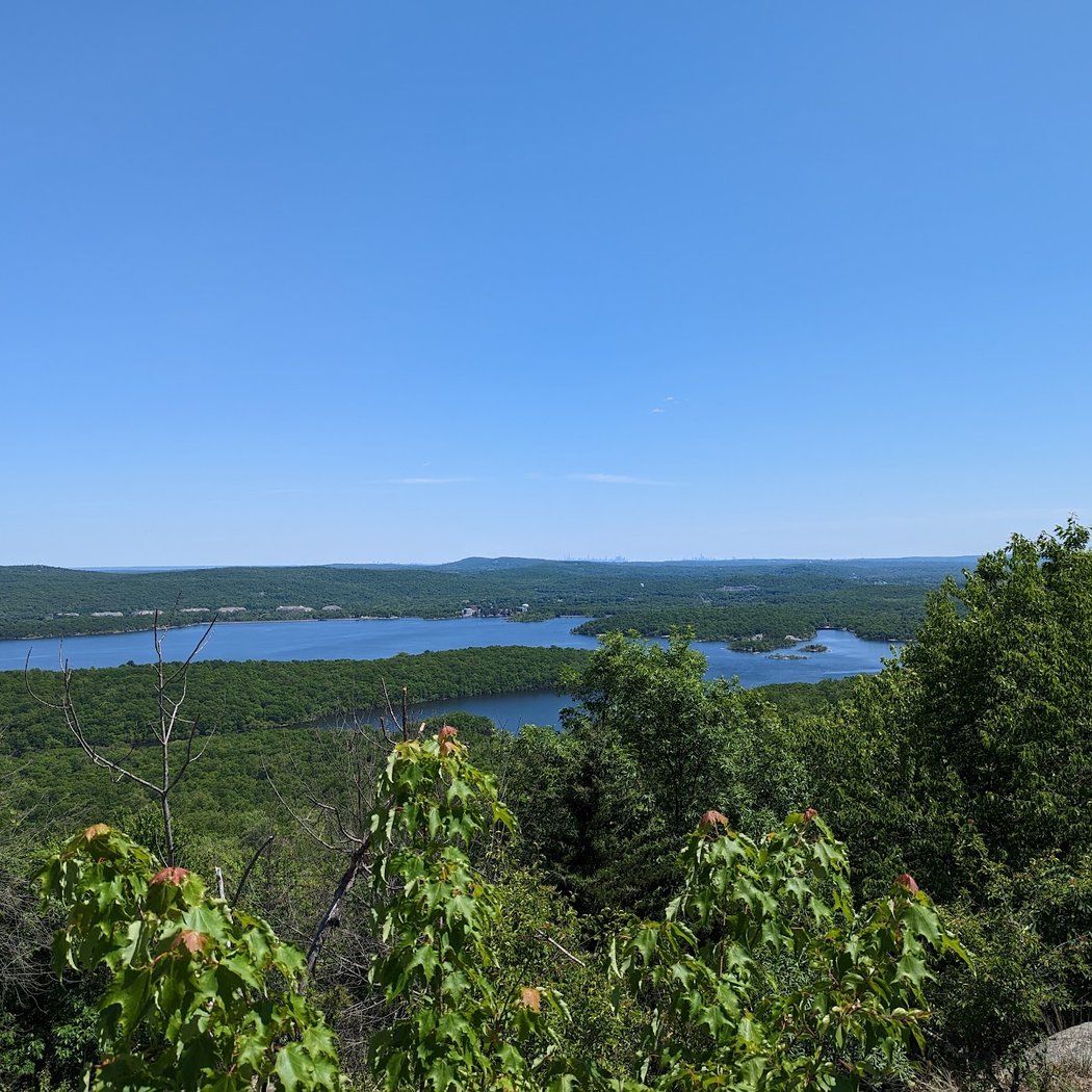 Norvin Green State Forest 2