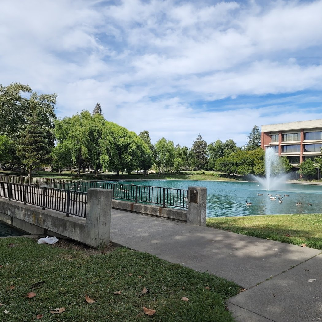 Friends of the Fairfield Library 1