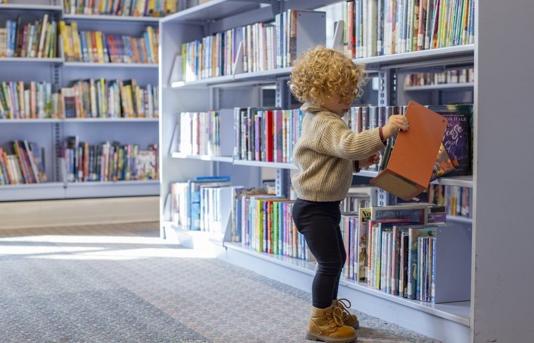 Toddler Playdate & Reading Time at Purcellville Library 2