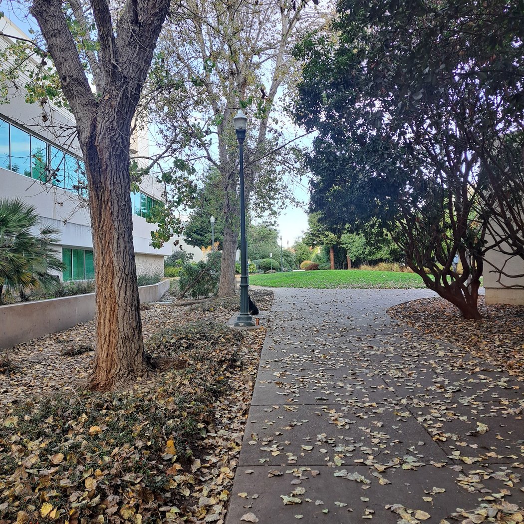 Emeryville Greenway & Grassy Knoll 2
