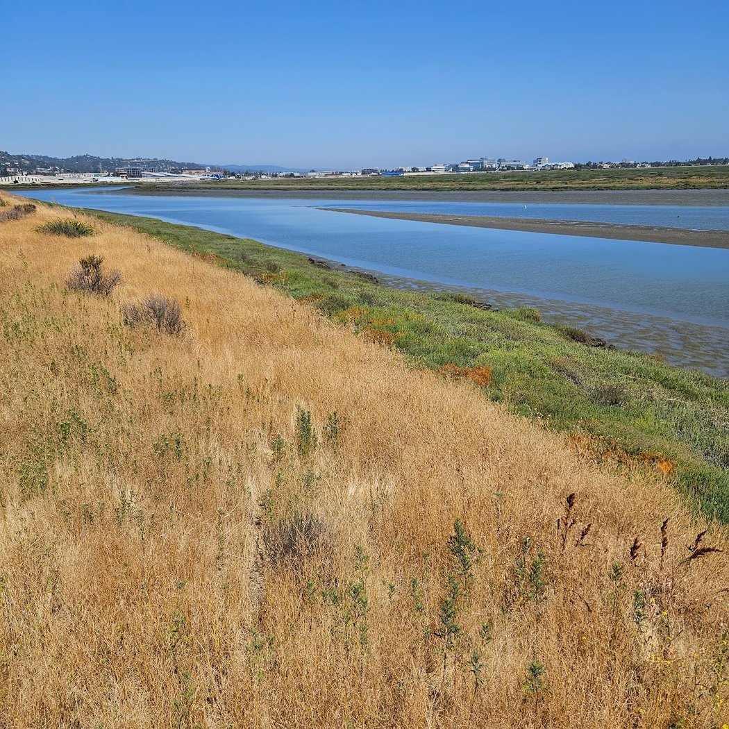 Bair Island State Marine Park 2