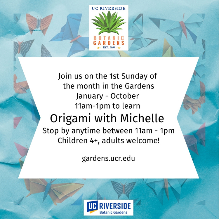 Origami with Michelle 1