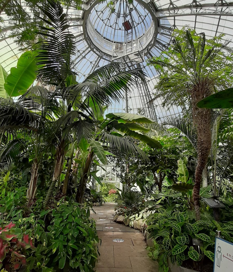 Allan Gardens 1