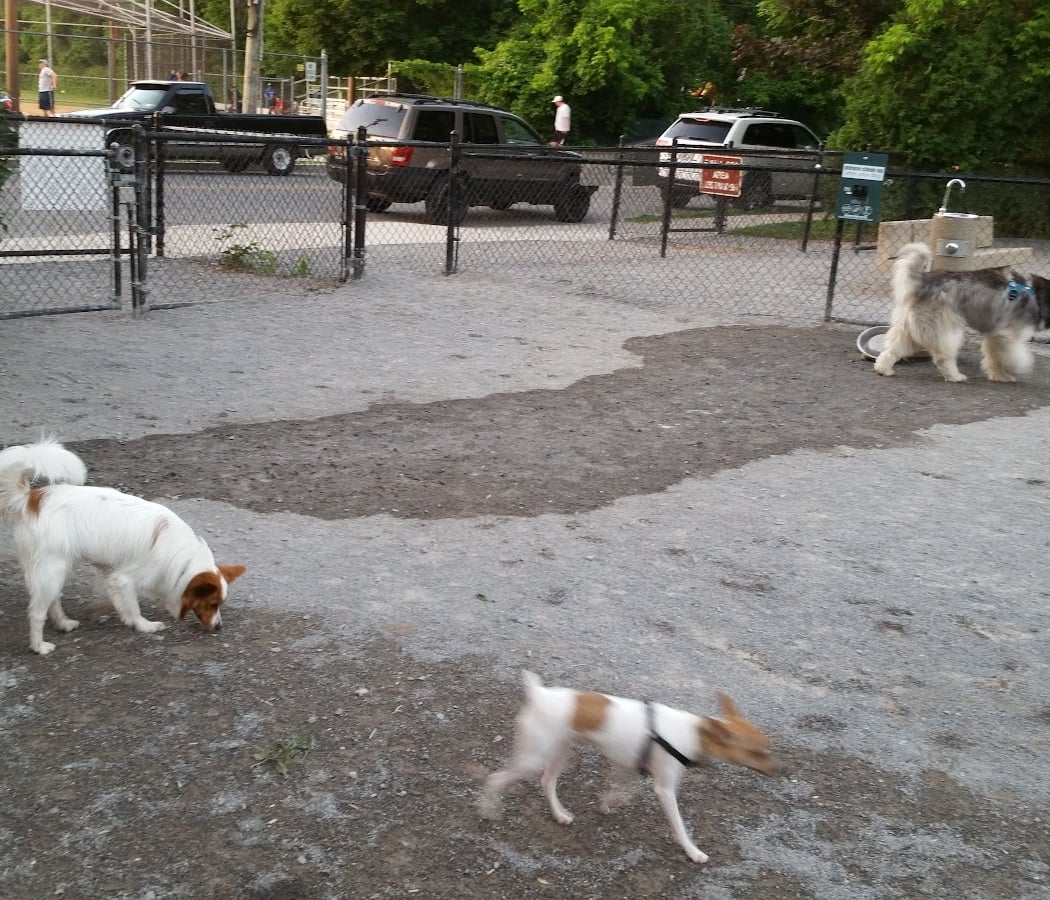 Bark Park - Off-Leash Dog Run for Members Only 3