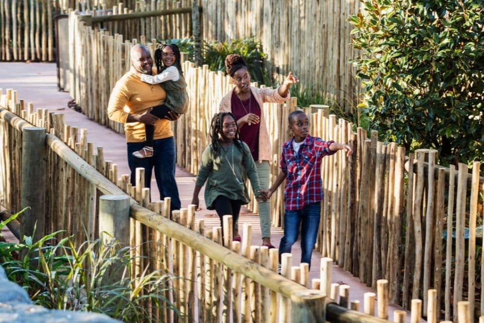 Queens Zoo 3