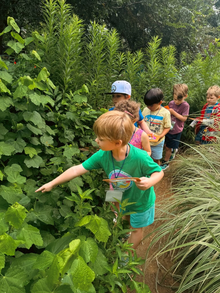 Nature Navigators Summer Camp 2