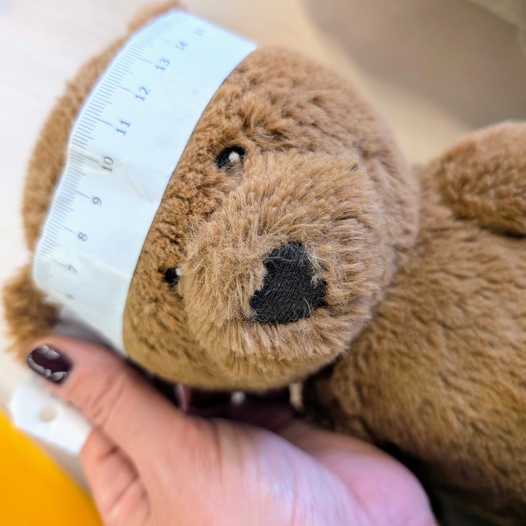 La peluchologie 1