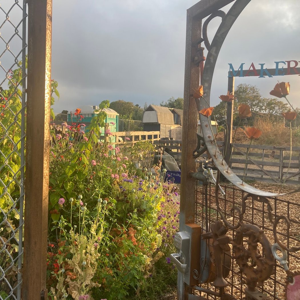 Planting for Pollinators: Matching Pollinators to their Plants 3