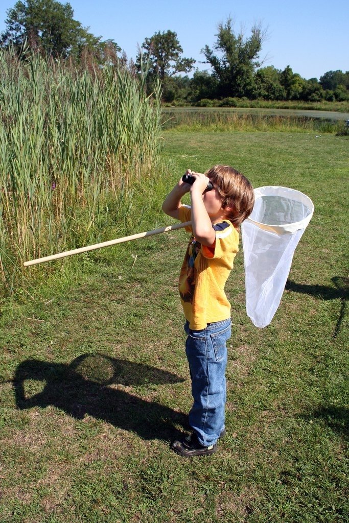 Bug Safari 1