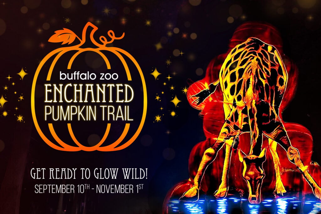 Enchanted Pumpkin Trail 1