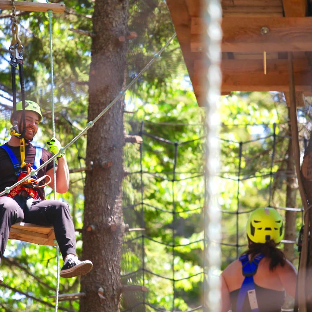 TimberTop Adventures 2