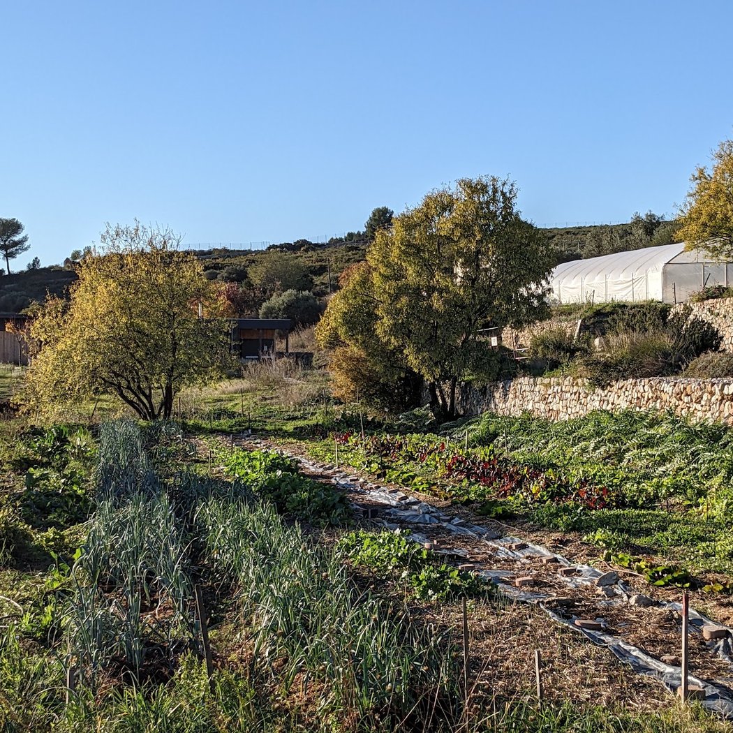 COLINEO - Conservatoire des Restanques Verger et Jardin Méditerranéen 2