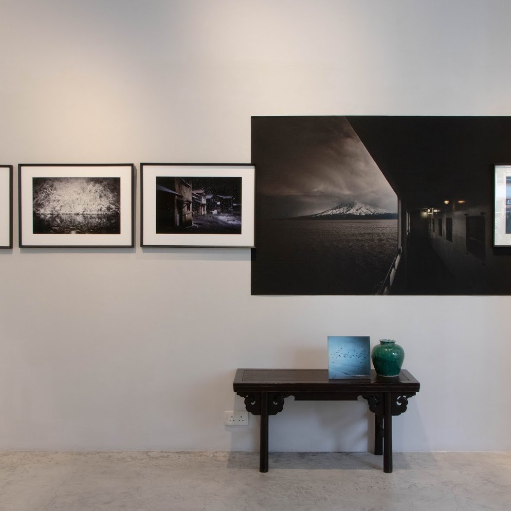 Blue Lotus Gallery 2