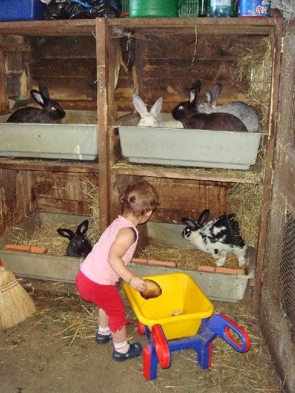 Ferme Sterchi 2