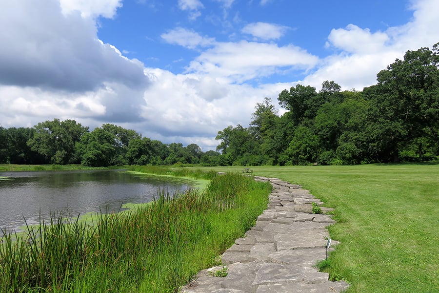 Churchill Woods Forest Preserve 1
