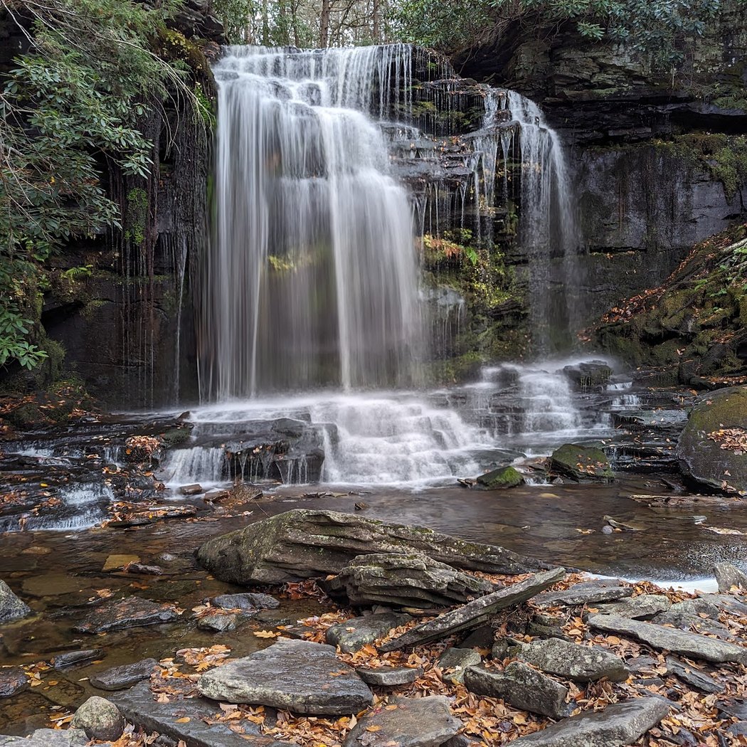 Neversink River Unique Area 1