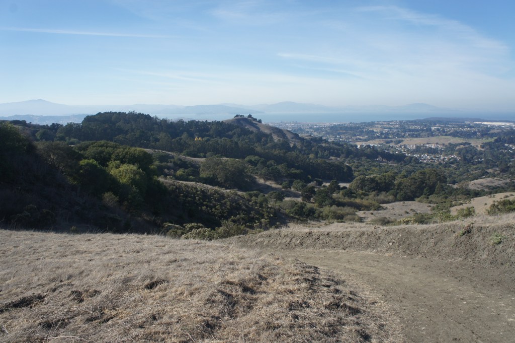 Wildcat Canyon Regional Park 3