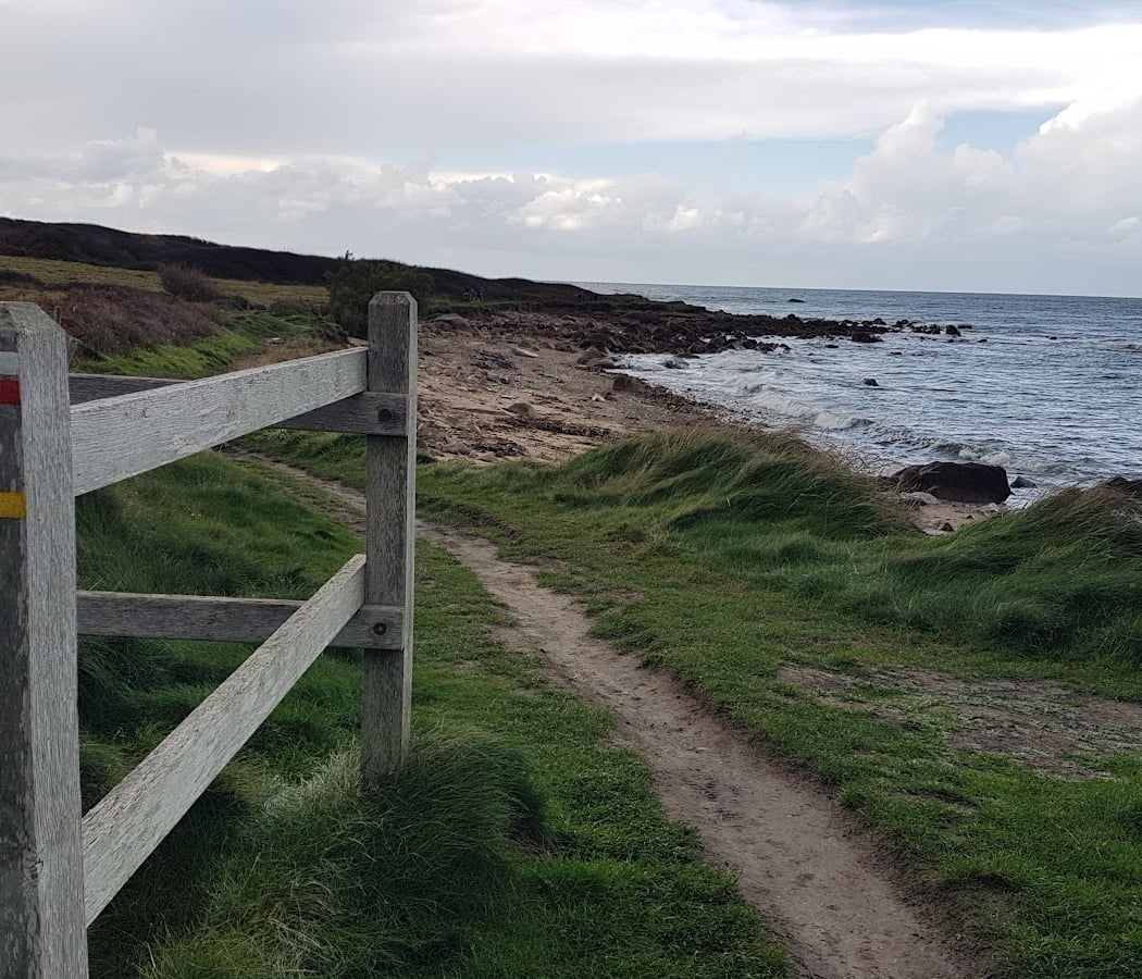 Le Cap Lévi 3