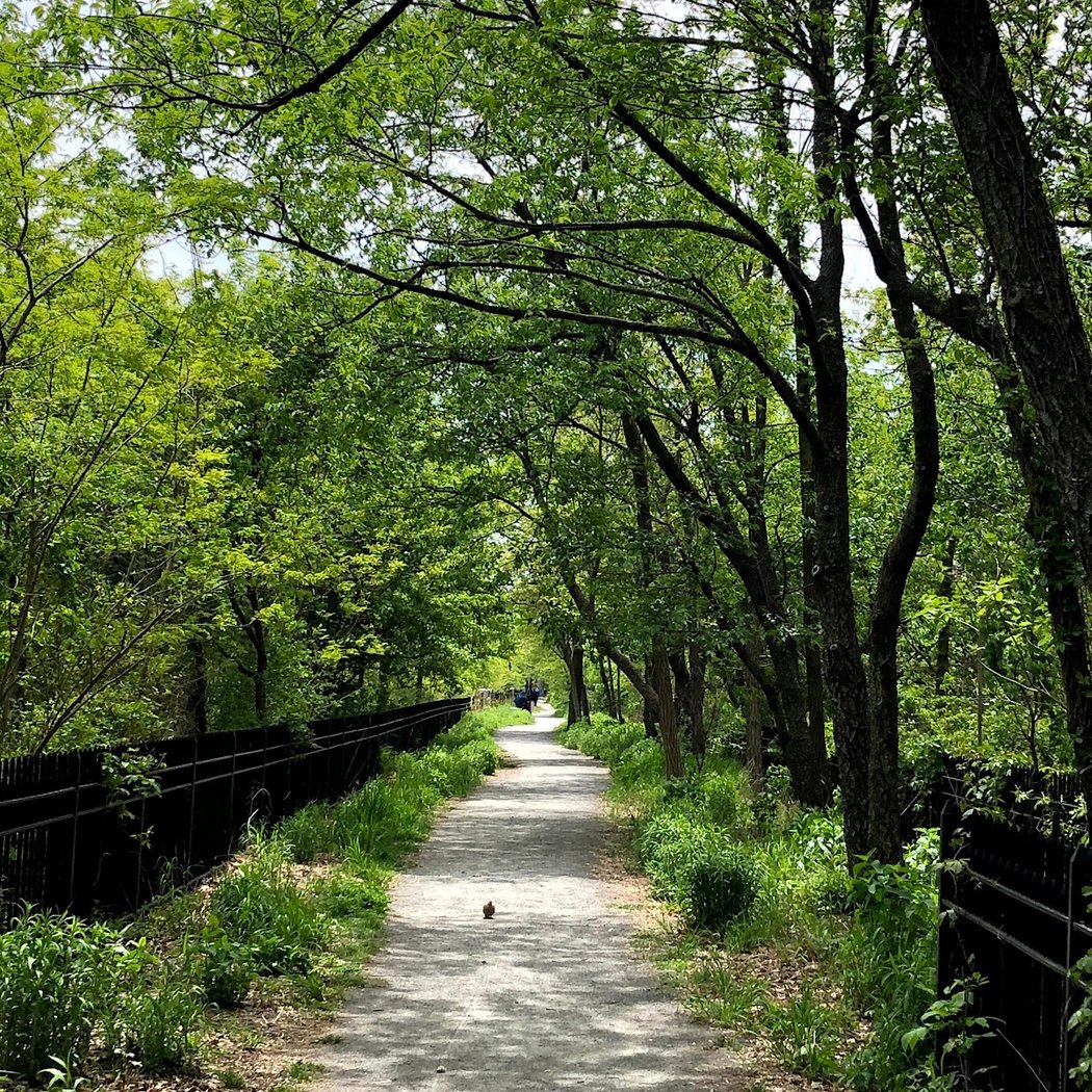 Highland Park 2