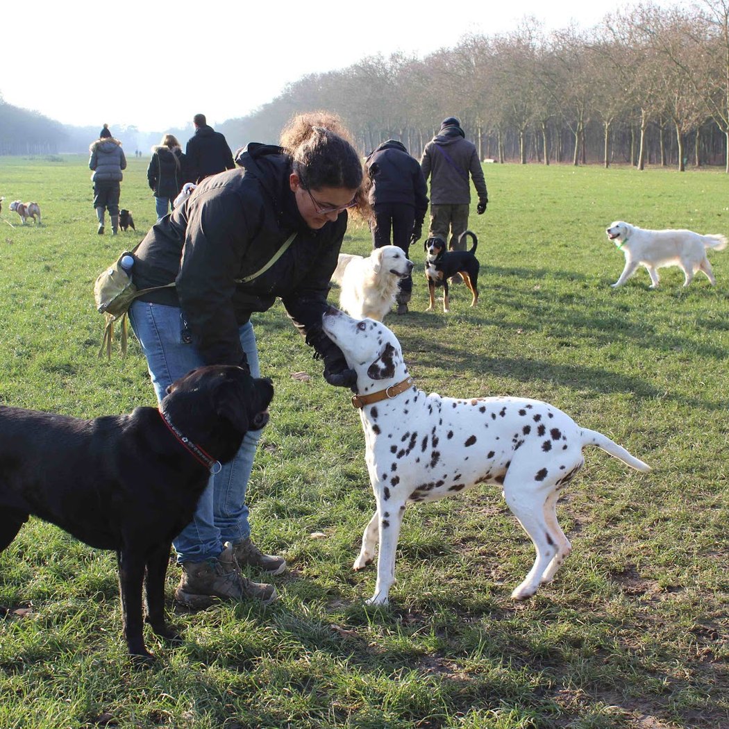 Puppies Walk and Care 1
