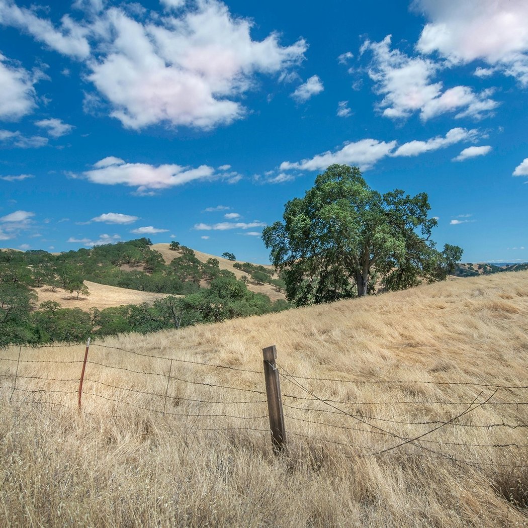 Dinosaur Hill Park 2