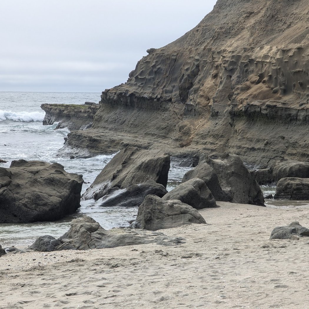 Snapshot Cal Coast Tidepooling Bioblitz 3
