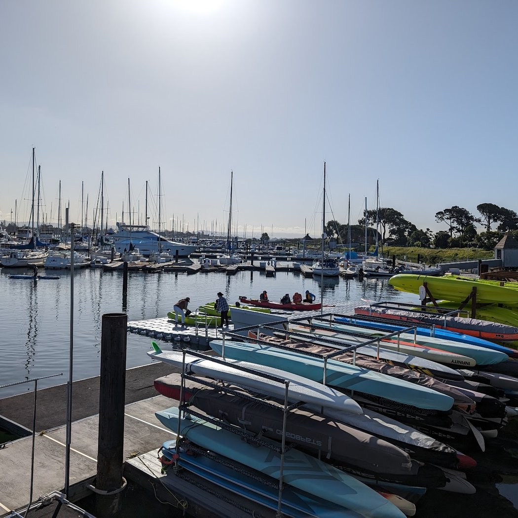 Sea Trek Kayak and SUP (Alameda) 4