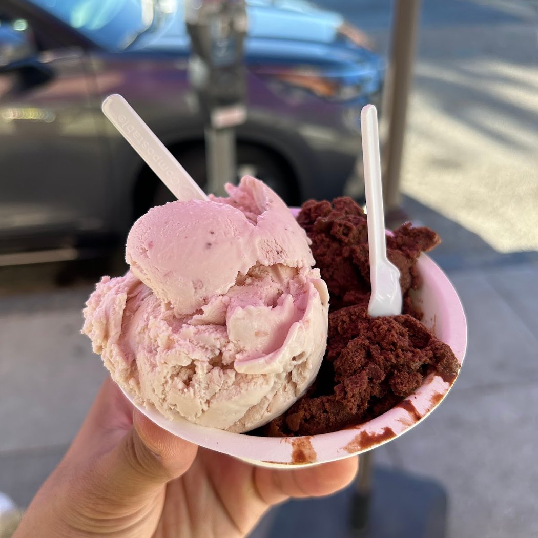Tara's Organic Ice Cream 3