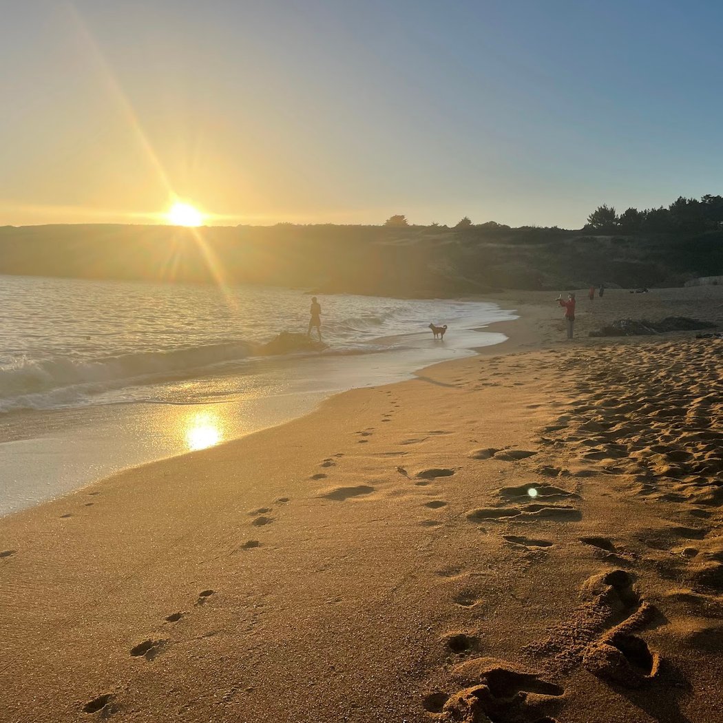 Plage de l'Étang 1