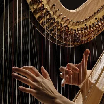 Harp Students of Dan Levitan 1