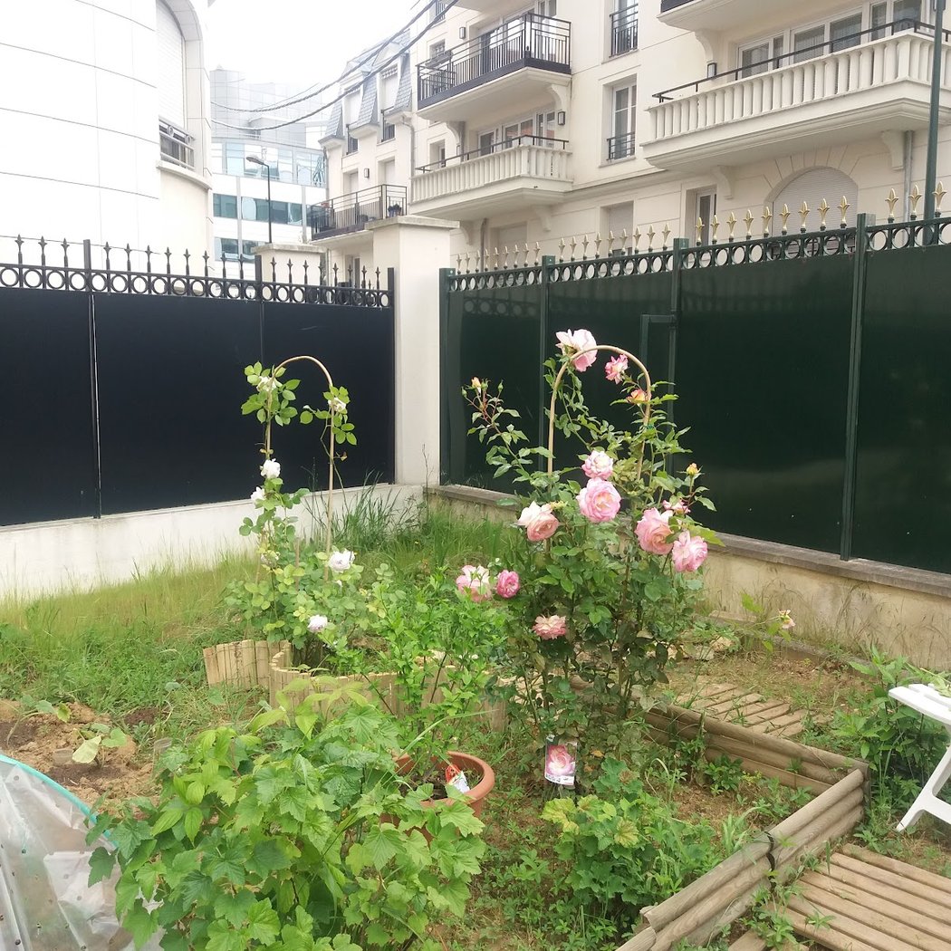 Moulin Garden 1
