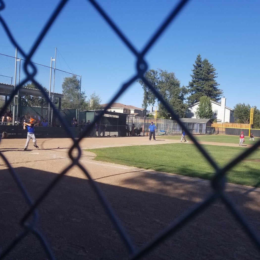 Napa Little League 3