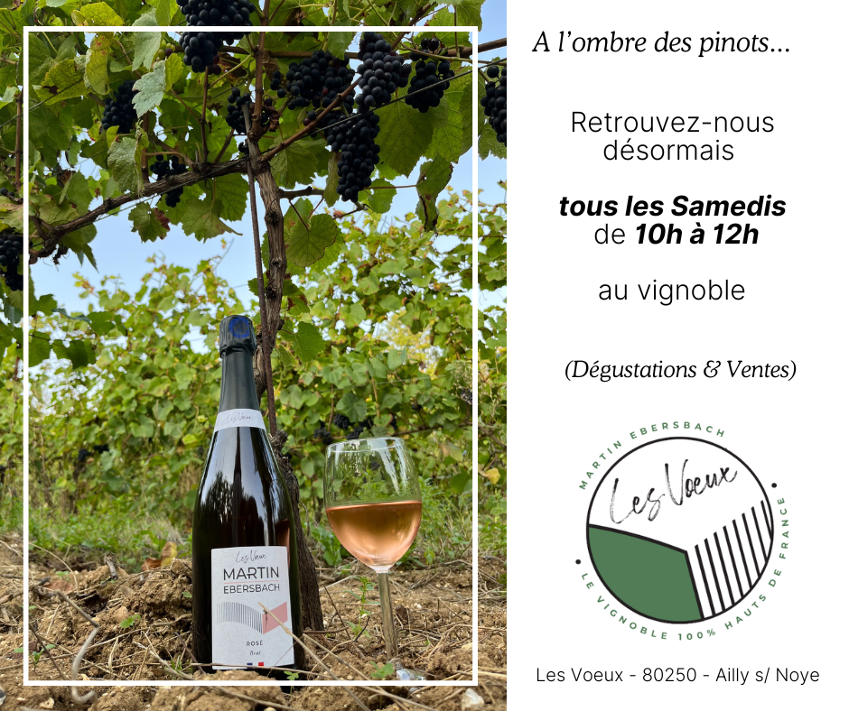 Vignoble des Voeux - Martin Ebersbach 1