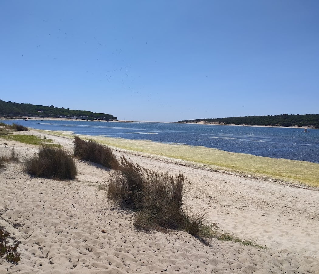 Guardiões do Mar 3