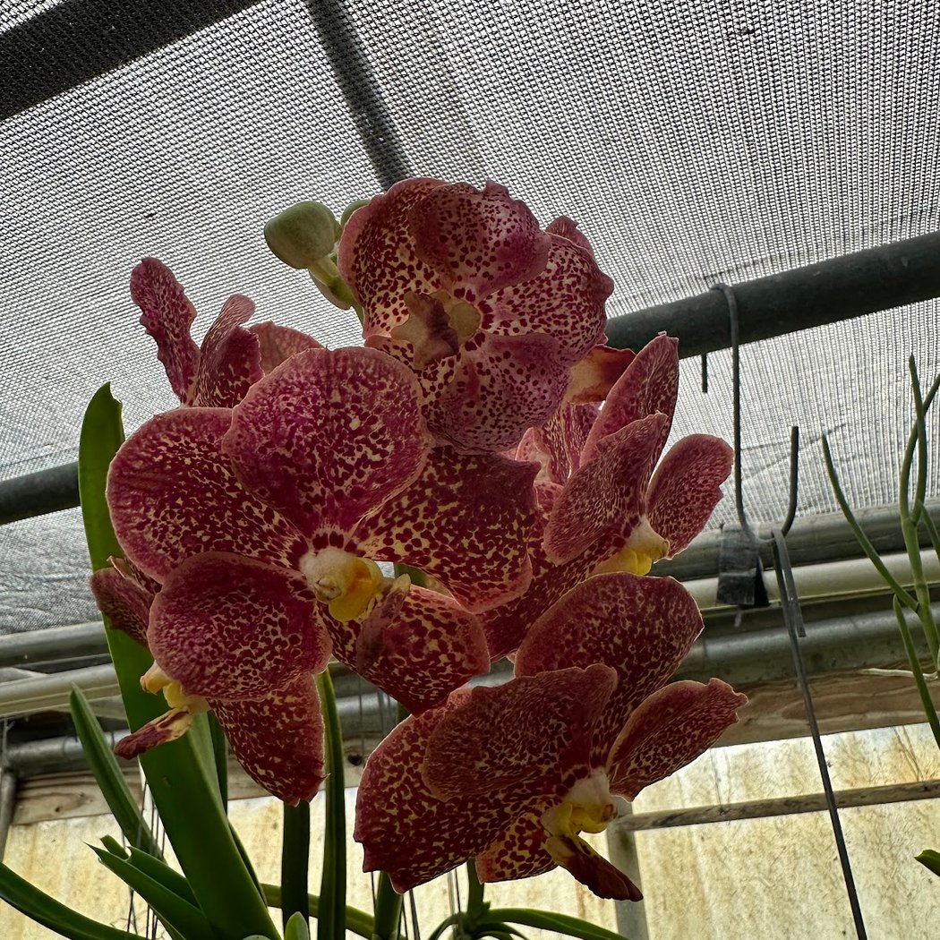Discovery Gardens 3
