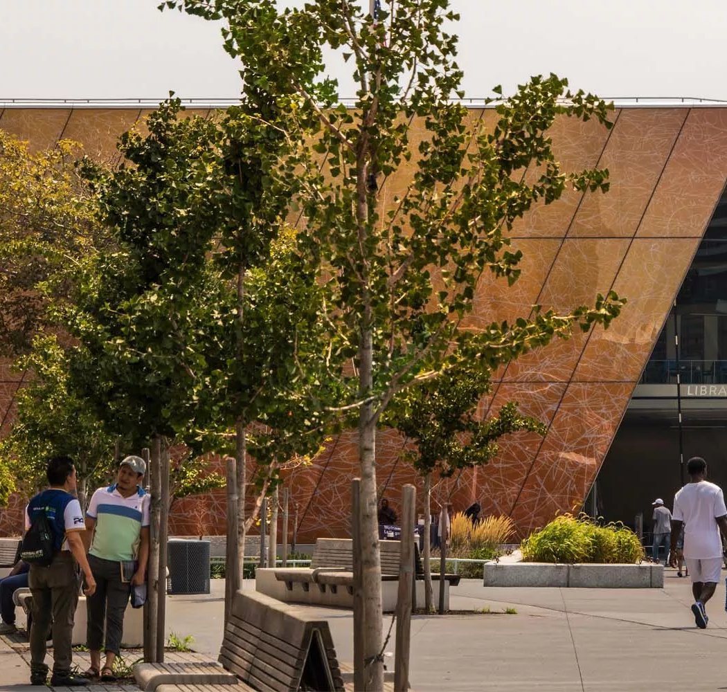 Queens Public Library at Far Rockaway events 2