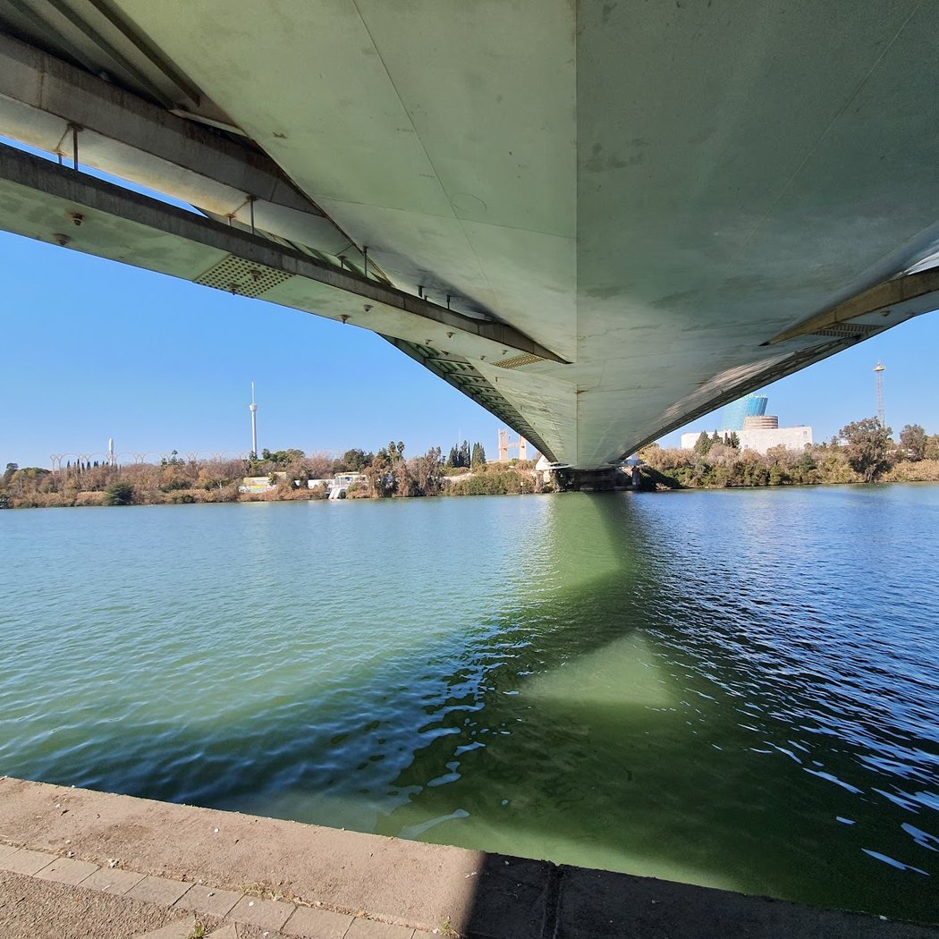 Paseo Fluvial Orilla Este Del Guadalquivir 3